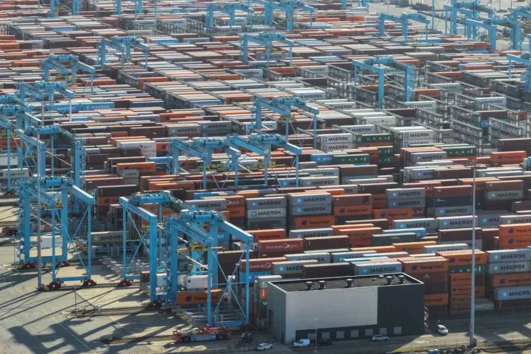 Title: Trump Imposes 50% Punitive Tariffs on Brazil, Launches Unfair - Trade Probe